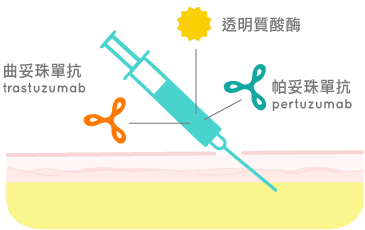 抗HER2雙標靶皮下注射