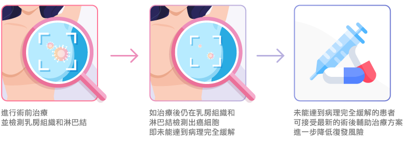 早期 HER2 型乳癌的治療
